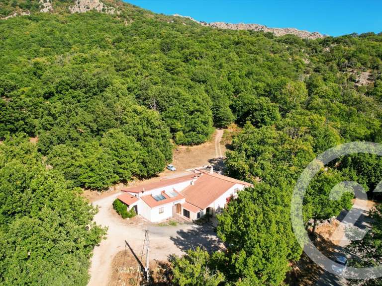 Maison Pioggiola - 5 chambres - 416m²