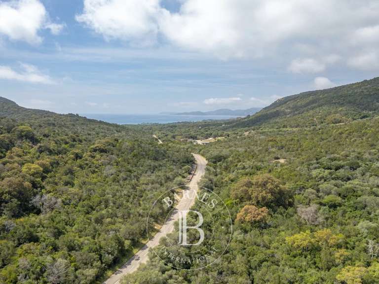 Terrain Porto-Vecchio - 2092m²