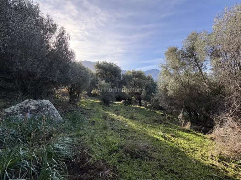 Land Montegrosso - 5040m²