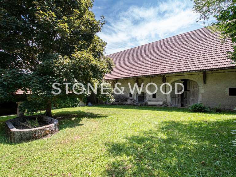 Maison Cessens - 4 chambres - 571m²