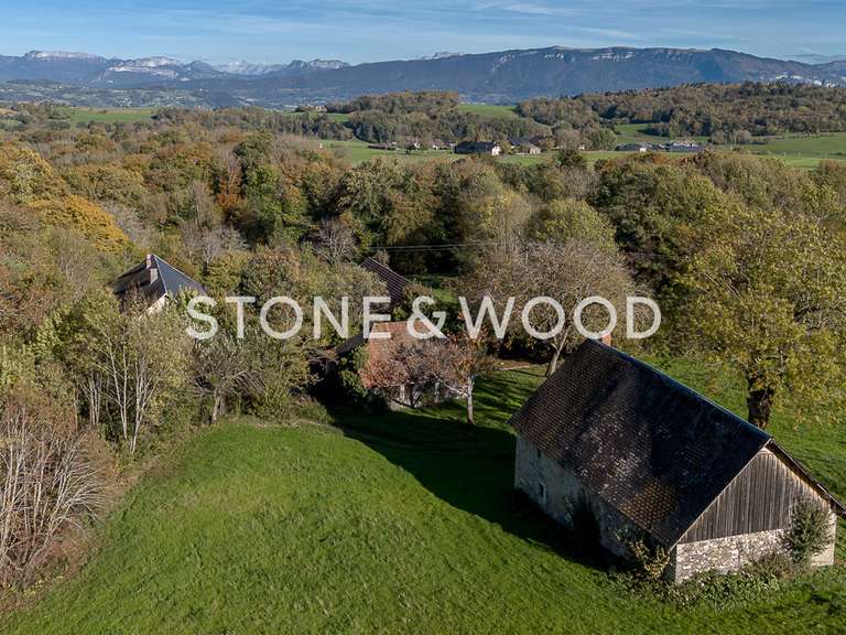 Maison Cessens - 4 chambres - 571m²