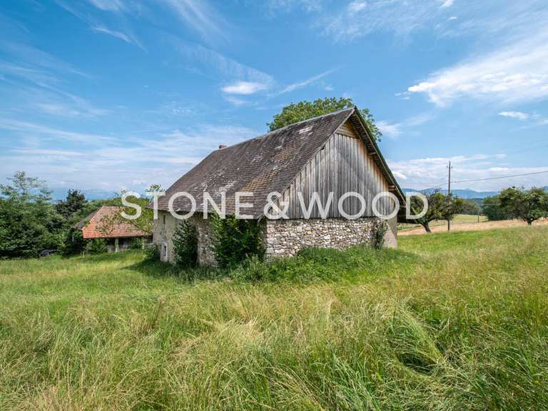 Maison Cessens - 4 chambres - 571m²