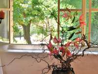 Vente maison 13 pièces