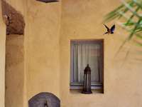 Vente maison 20 pièces Vente maison 20 pièces