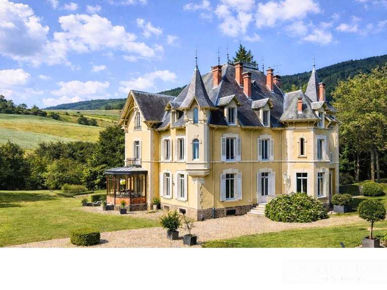 Château Saint-Julien-Molin-Molette - 7 chambres - 595m²