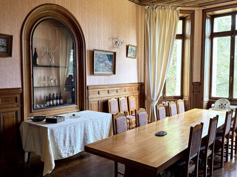 Château Saint-Julien-Molin-Molette - 7 chambres - 595m²