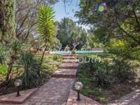 Vente maison 20 pièces Vente maison 20 pièces