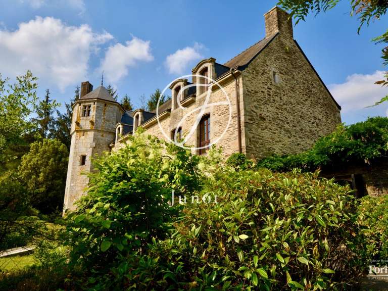 Manoir Camors - 8 chambres - 1172117m²
