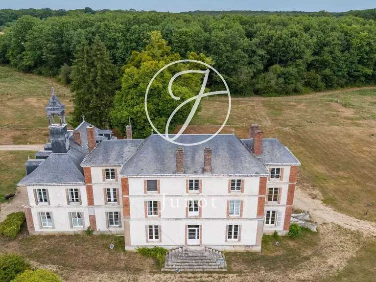 Château Saint-Fargeau - 10 chambres - 500m²