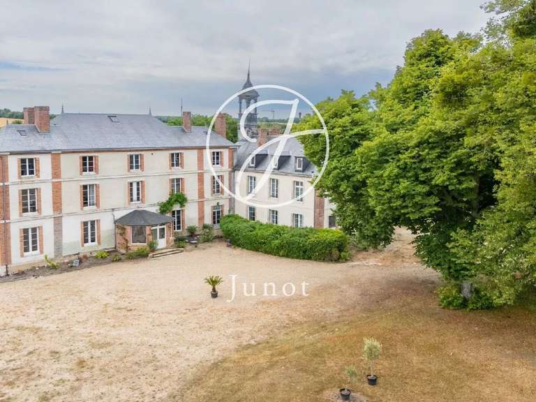 Château Saint-Fargeau - 10 chambres - 500m²