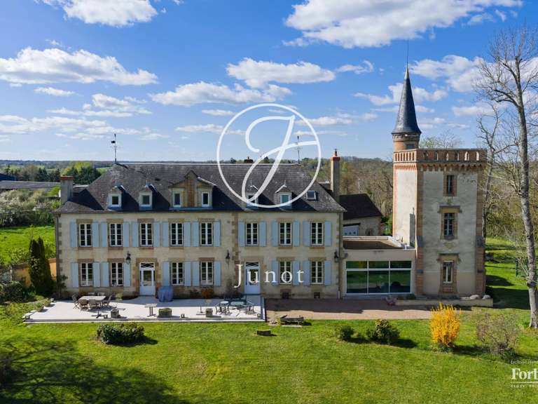 Château Moulins - 7 chambres - 500m²