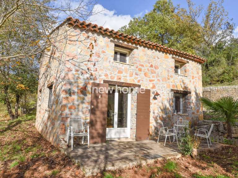 House Flayosc - 4 bedrooms - 263m²