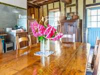 Demeure d'exception 14 pièces