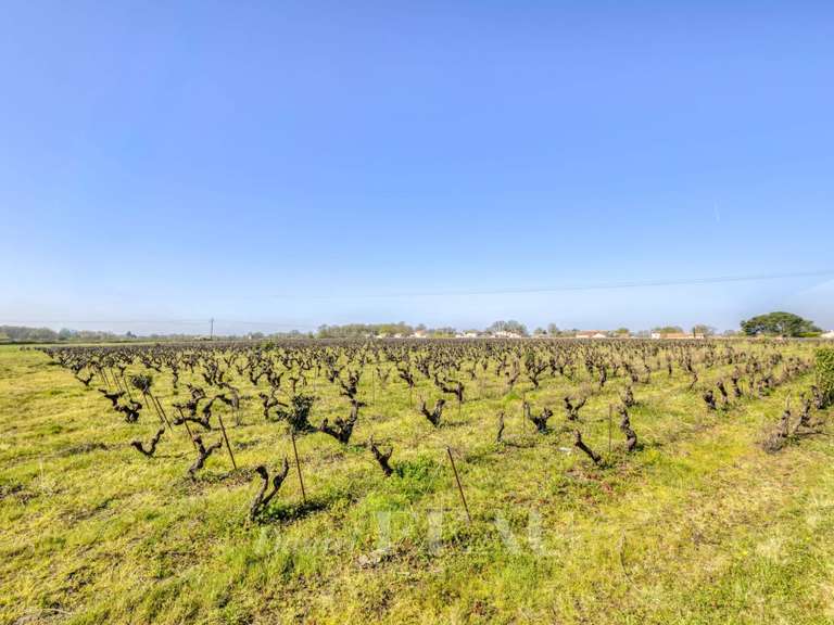Maison Vertou - 4 chambres - 165m²