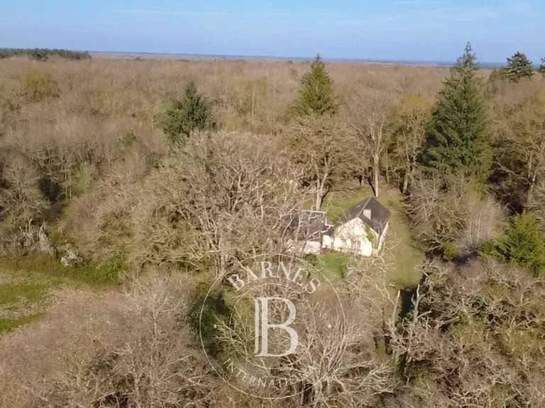 Maison Salbris - 4 chambres - 550m²