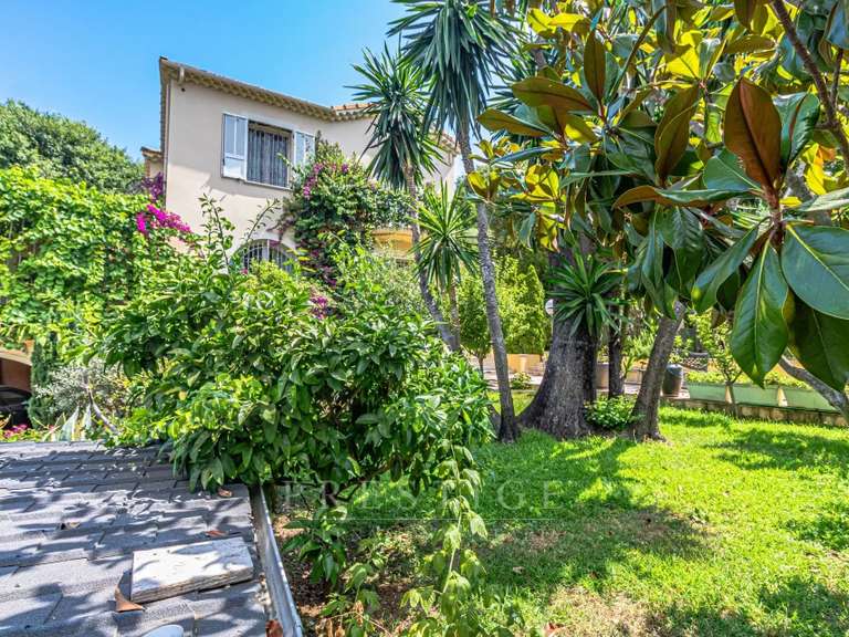 House Cap-d-antibes - 3 bedrooms - 246m²