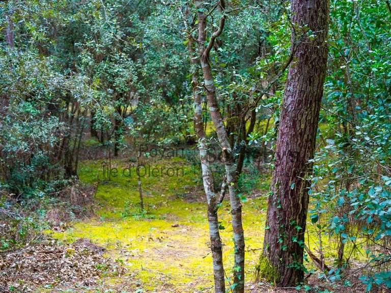Land Les Mathes - 1550m²