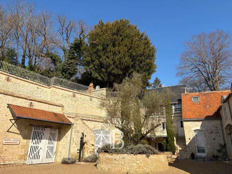 Propriété Vouvray - 5 chambres - 540m²