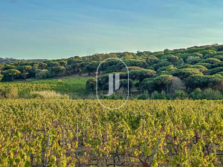 Maison Ramatuelle - 6 chambres - 350m²