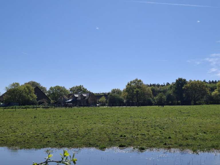 Maison Riaillé - 400m²