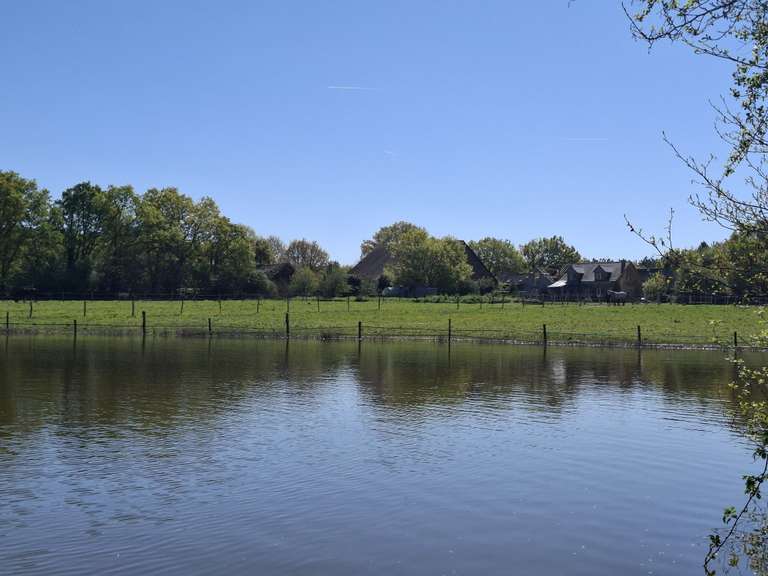 Maison Riaillé - 400m²
