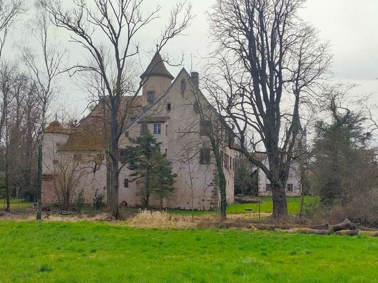 Château Colmar - 1000m²