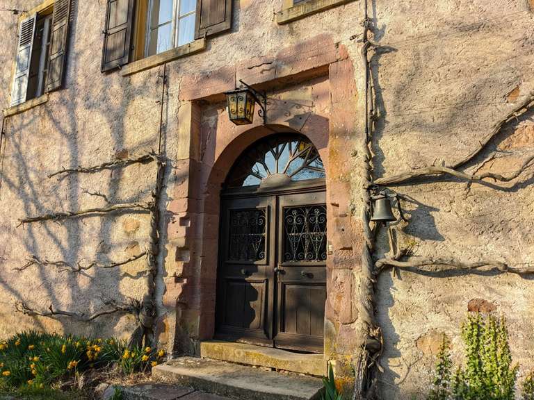 Château Colmar - 1000m²
