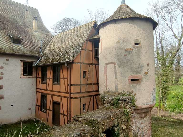 Château Colmar - 1000m²