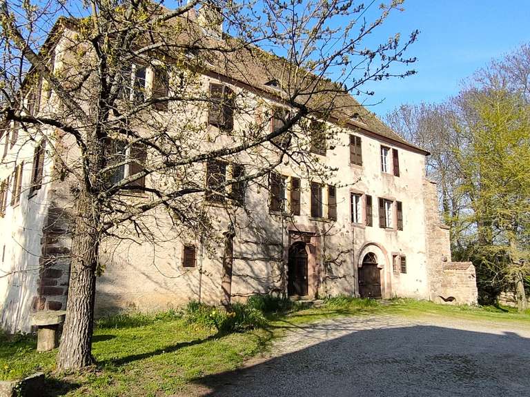Château Colmar - 1000m²