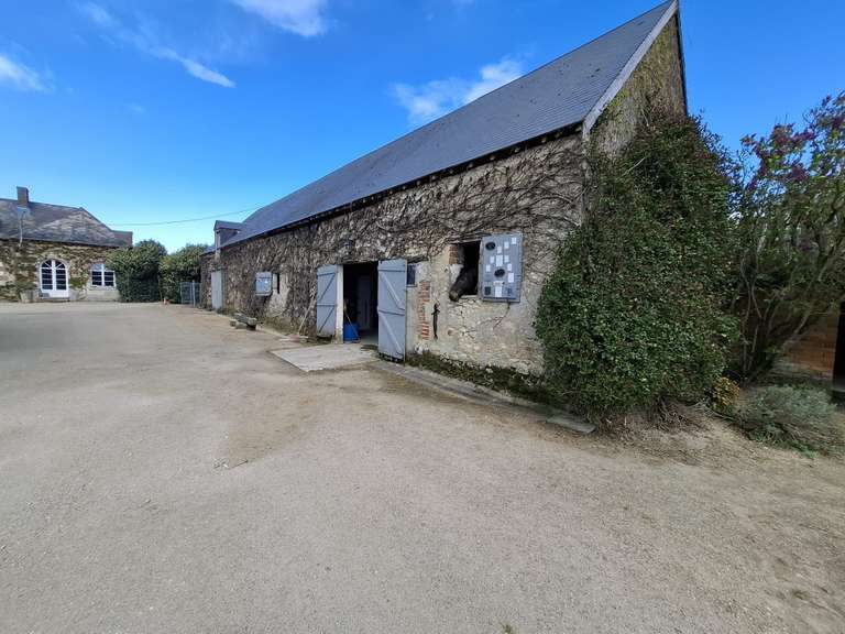 House Orléans - 250m²