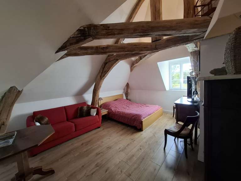 House Orléans - 250m²