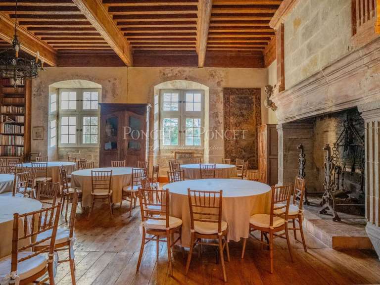 Castle Plaigne - 16 bedrooms - 900m²