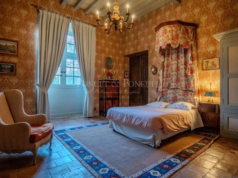 Castle Plaigne - 16 bedrooms - 900m²