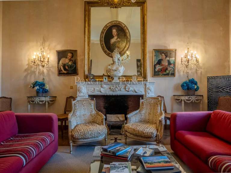 Castle Plaigne - 16 bedrooms - 900m²