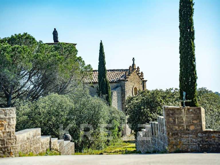 Castle Saint-Étienne-des-Sorts - 7 bedrooms - 386m²