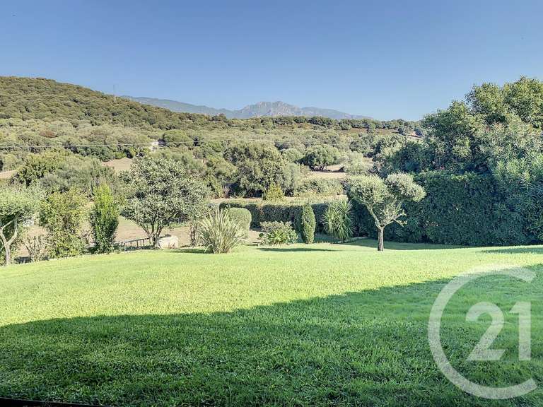 Maison Porto-Vecchio - 7 chambres - 350m²