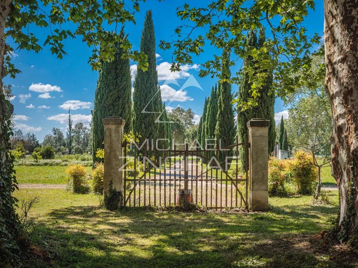 Property Avignon