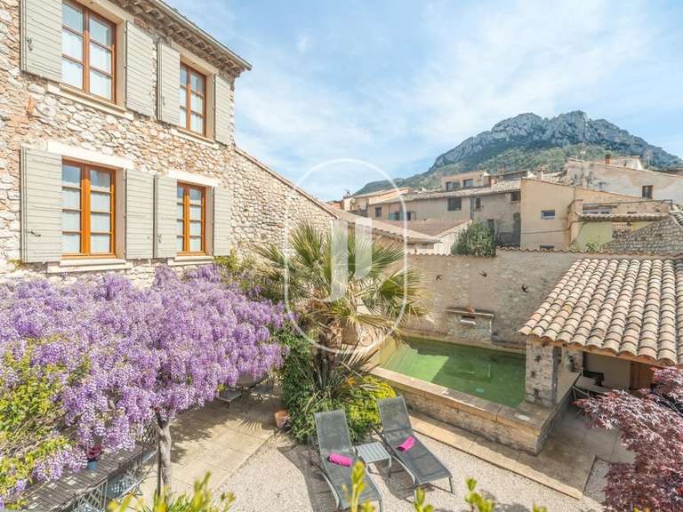 House Buis-les-Baronnies - 7 bedrooms - 400m²