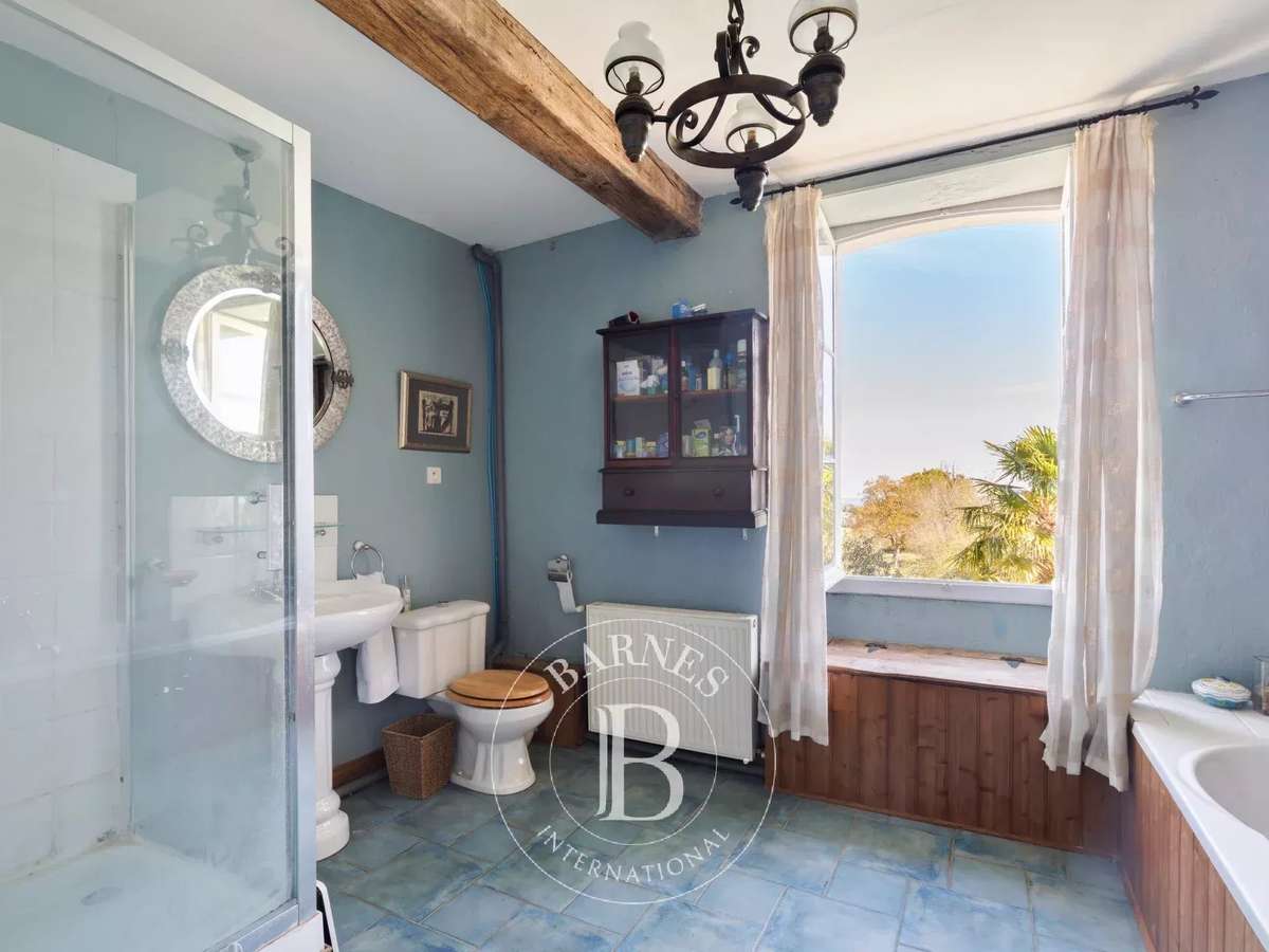 Unusual property Navarrenx