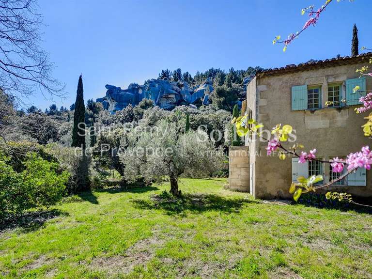 Maison Les Baux-de-Provence - 6 chambres - 395m²