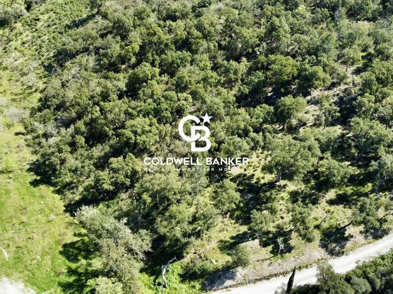 Terrain Grimaud - 6922m²