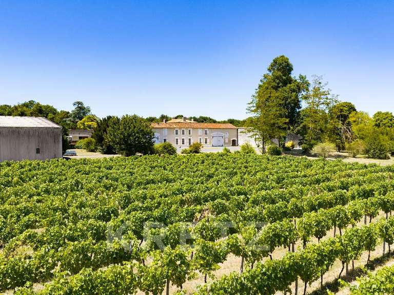 Vineyard Rouffiac - 1838m²