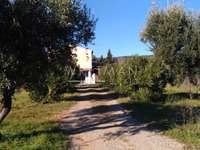 Vente maison 15 pièces