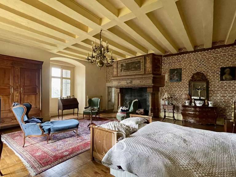 Castle Amboise - 6 bedrooms - 480m²