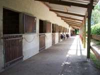 Vente maison 14 pièces