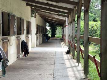 Vente maison 14 pièces