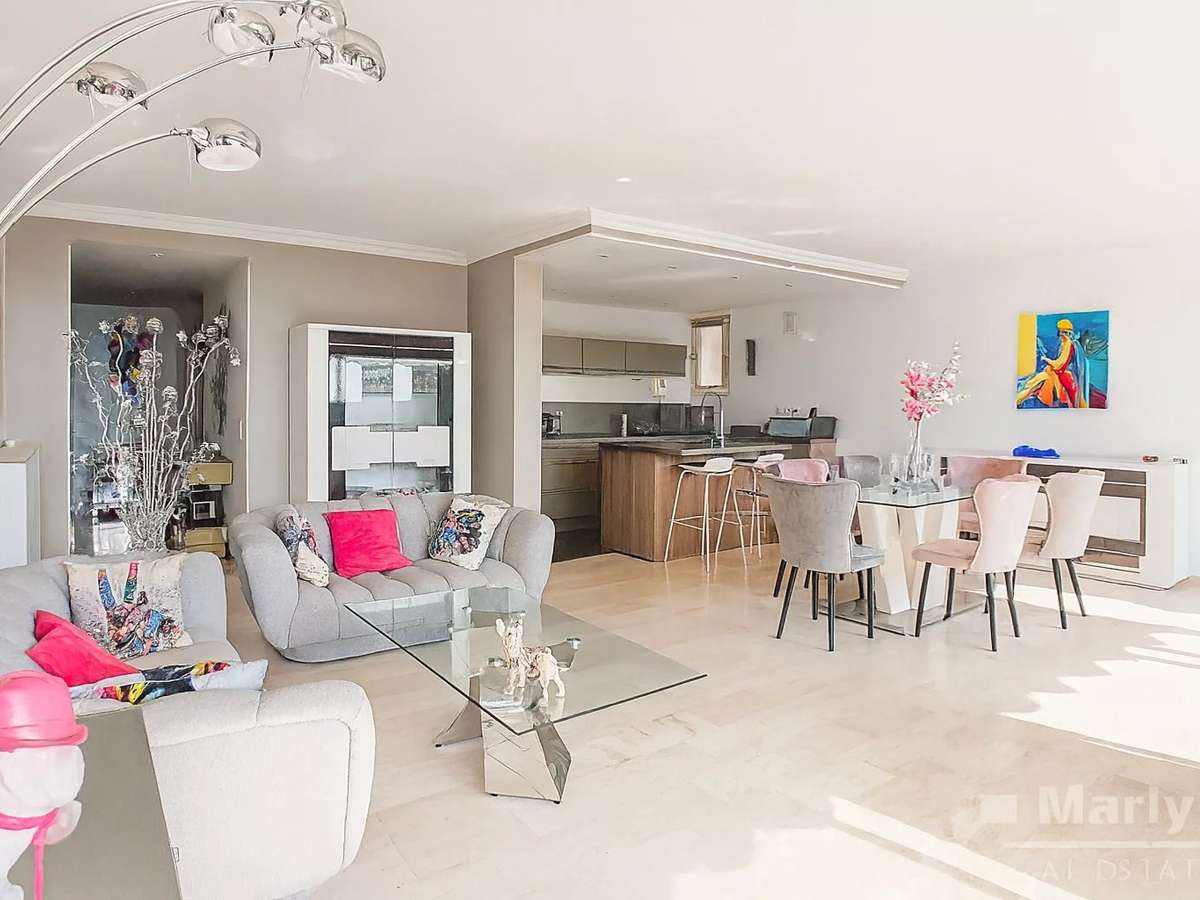 Apartment Cannes