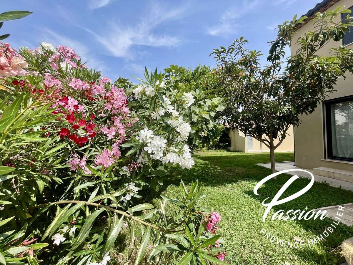 Maison Salon-de-Provence