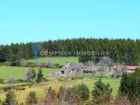 Vente maison 14 pièces