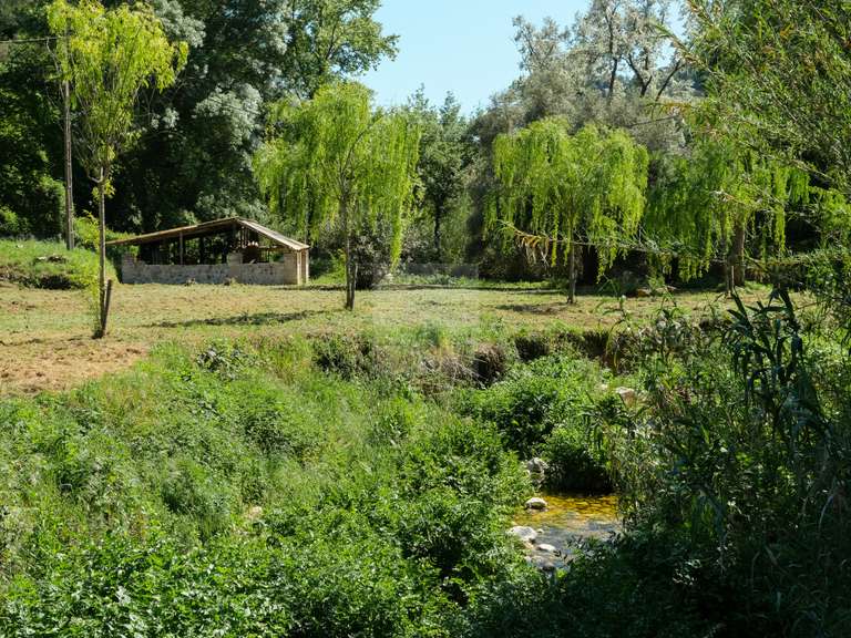 Maison Saint-Paul-de-Vence - 6 chambres - 490m²